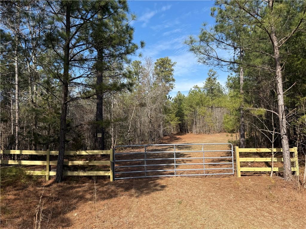 0 Hulmes Chapel Road Elberton, GA 30635 - Photo 5 of 18