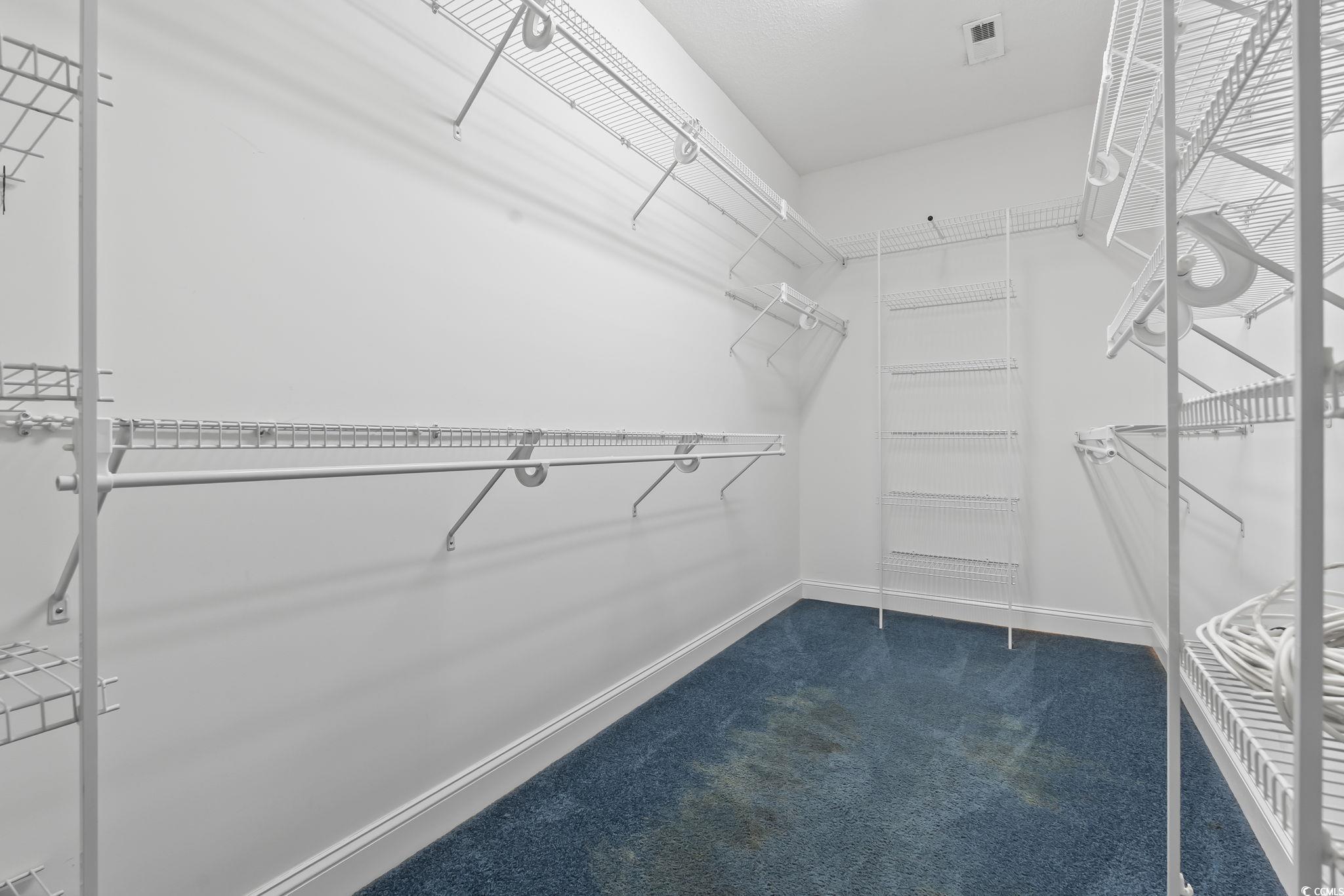 743 Helms Way Conway, SC 29526 - Photo 26 of 37 Spacious closet with dark colored carpet