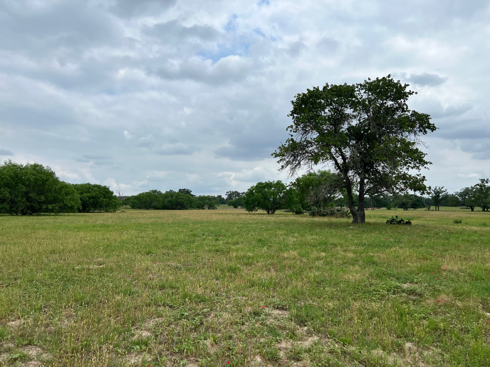 Lot 17 Settlement Way Luling, TX 78648 - Photo 1 of 14 An expansive green field offers a tranquil setting under an open sky.