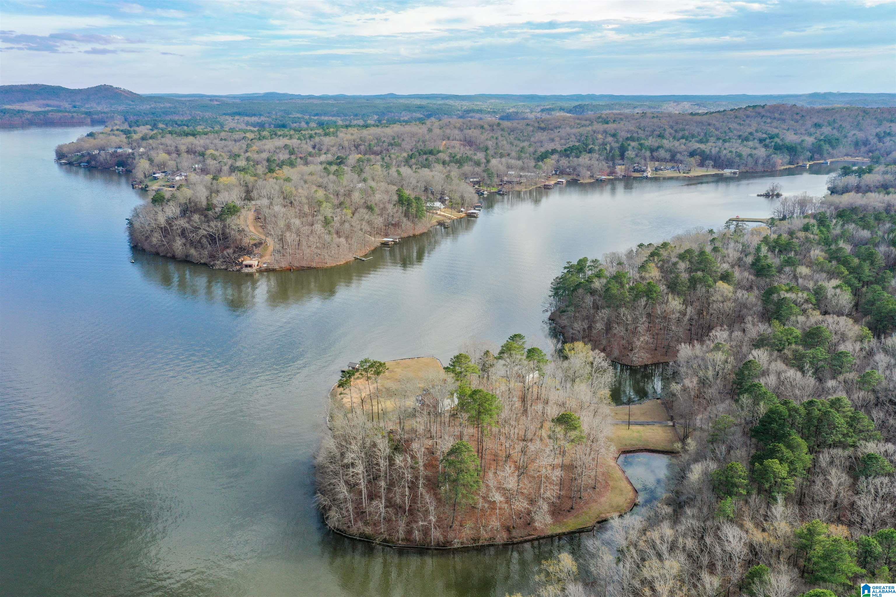 South River Road, Unit LONG Shelby, AL 35143 - Photo 21 of 21