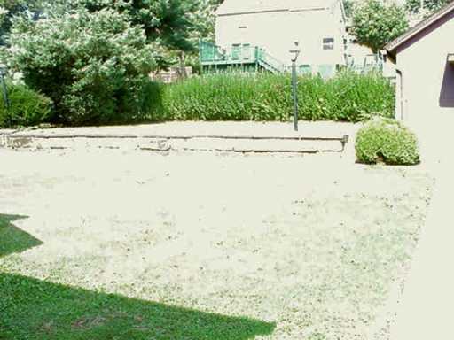 Yard/Garden. 