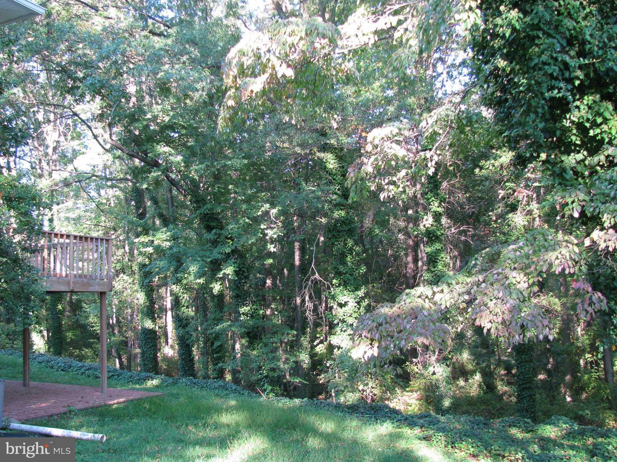 8657 Gateshead Road Alexandria, VA 22309 - Photo 24 of 29 Exterior (Rear)