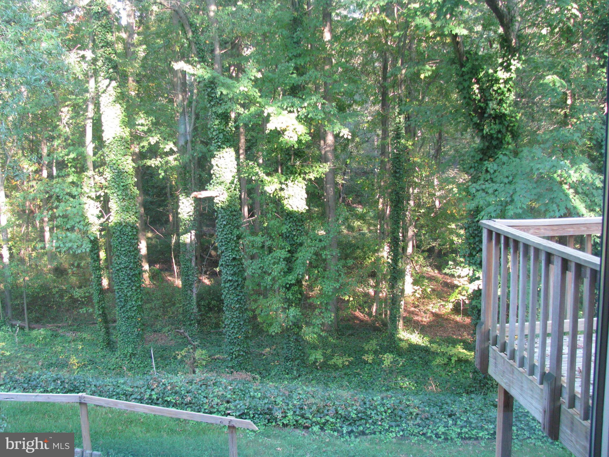 8657 Gateshead Road Alexandria, VA 22309 - Photo 27 of 29 View
