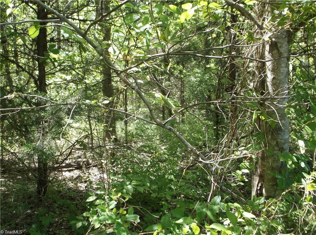 Lot 1 Goff Road King, NC 27021 - Photo 2 of 4