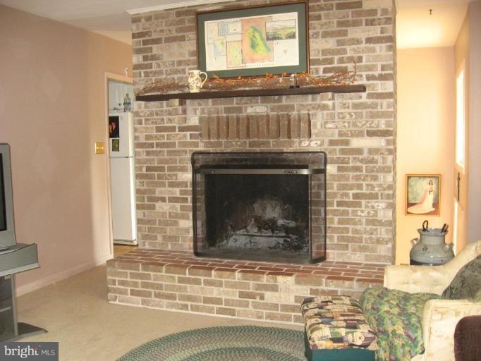 3050 Rocks Road Jarrettsville, MD 21084 - Photo 21 of 21 Fireplace