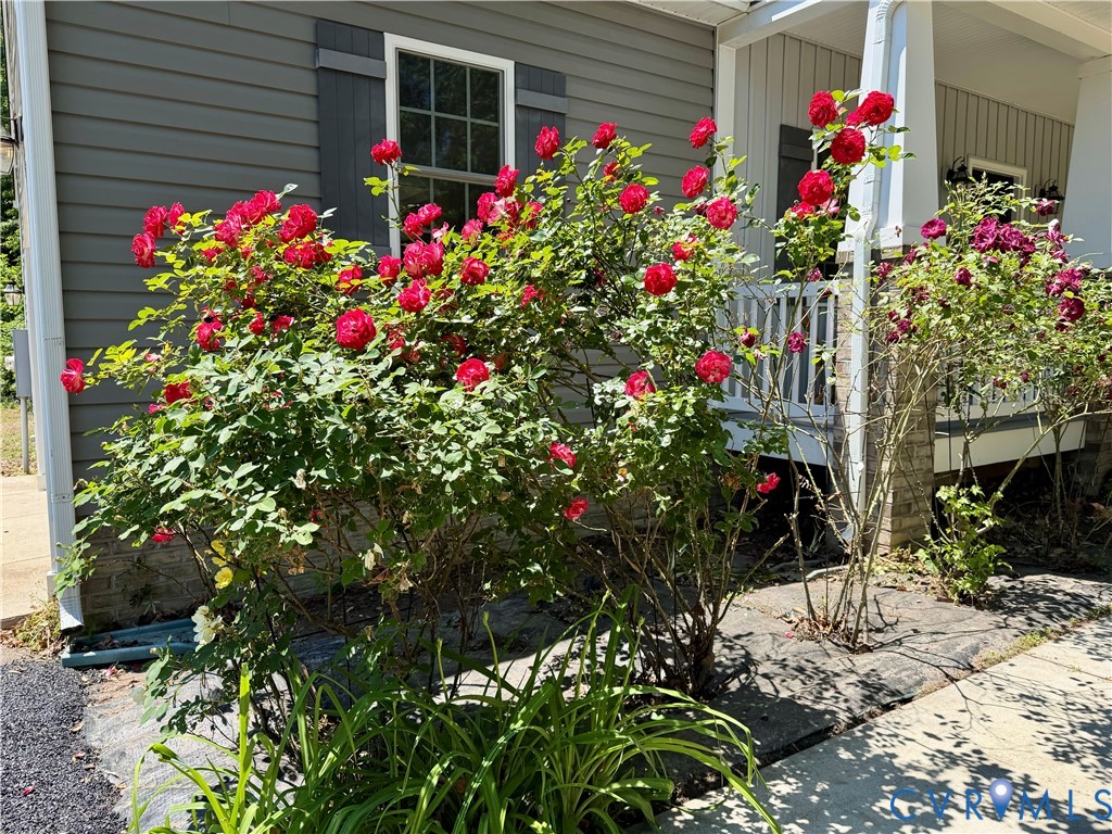 1297 Manfield Road Aylett, VA 23009 - Photo 31 of 41 a flower plants in front of flowers