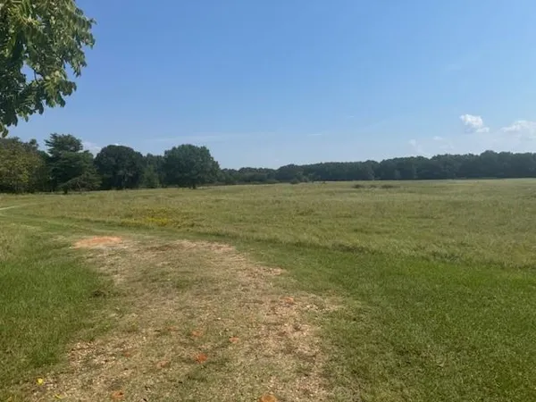 $250,000 | 2 County Road 2295, Telephone, TX 75488