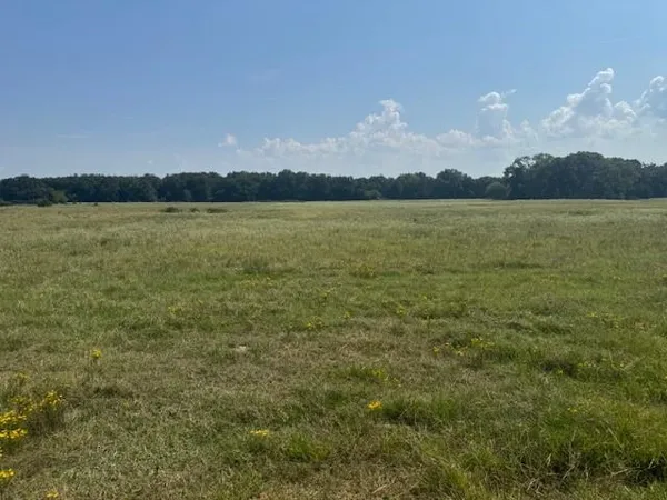 $250,000 | 2 County Road 2295, Telephone, TX 75488
