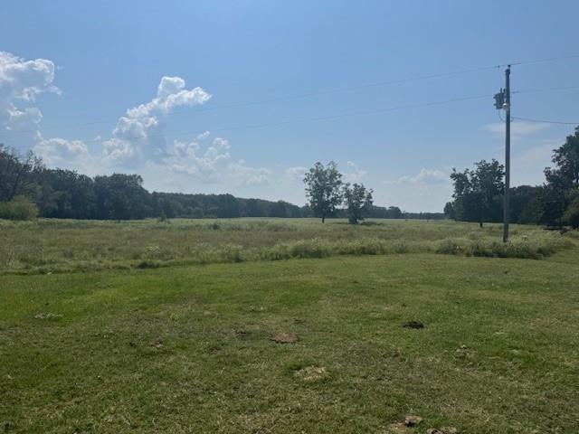 2 County Road 2295 Telephone, TX 75488 - Photo 5 of 8 a view of a field with an ocean