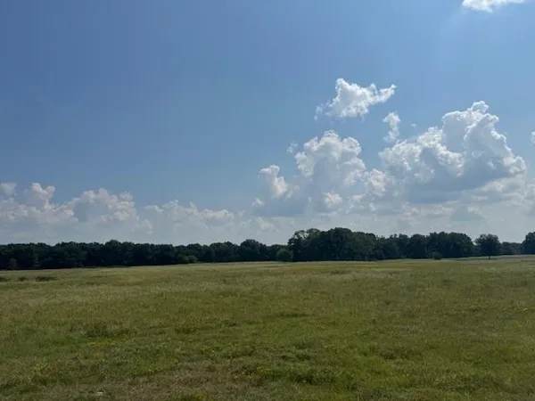 $250,000 | 2 County Road 2295, Telephone, TX 75488