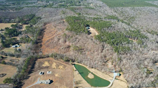 a view of a yard with plants and trees