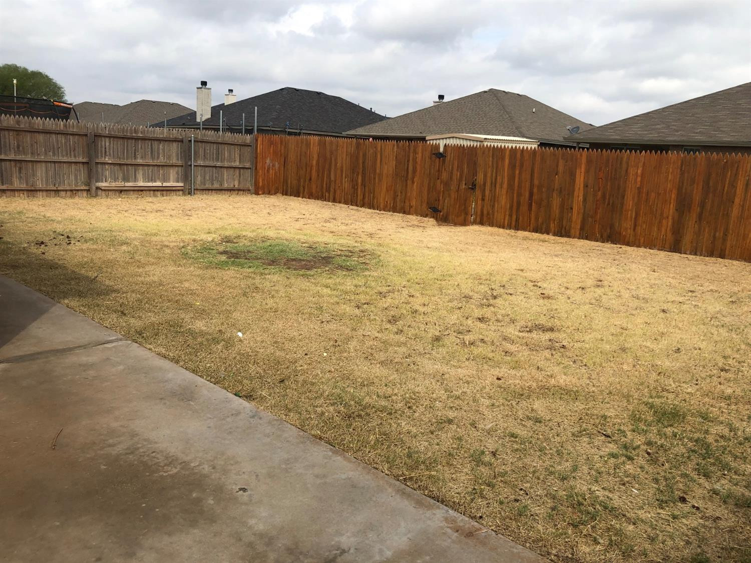 2204 100th Street Lubbock, TX 79423 - Photo 18 of 18 Photo 37