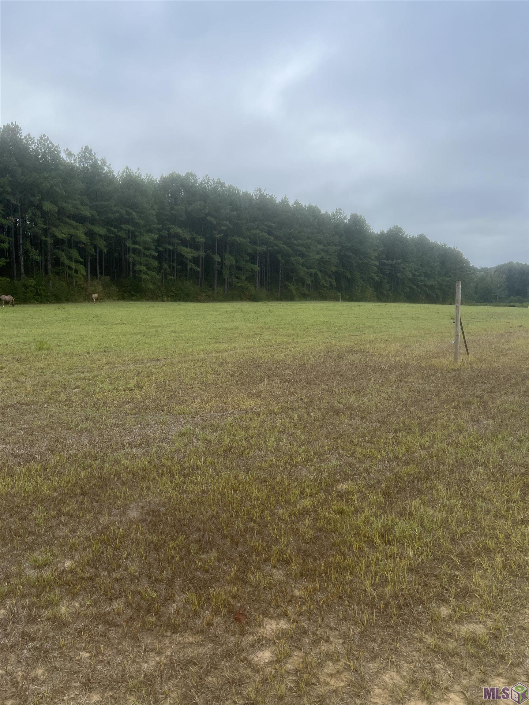 1 Battle Road Ethel, LA 70730 - Photo 4 of 6 Gallery Image 4