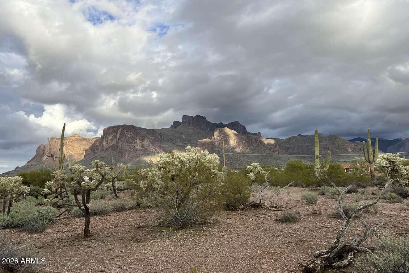 450 North Geronimo Road Apache Junction, AZ 85119 - Photo 2 of 9 Mayes.2