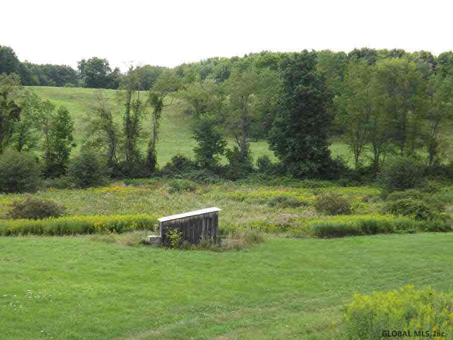 Ryan Road Greenwich, NY 12834 - Photo 4 of 6 Photo 4