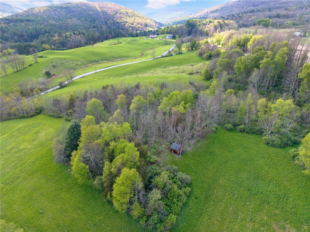 Westkill Road North Blenheim, NY 12131 - Photo 22 of 38