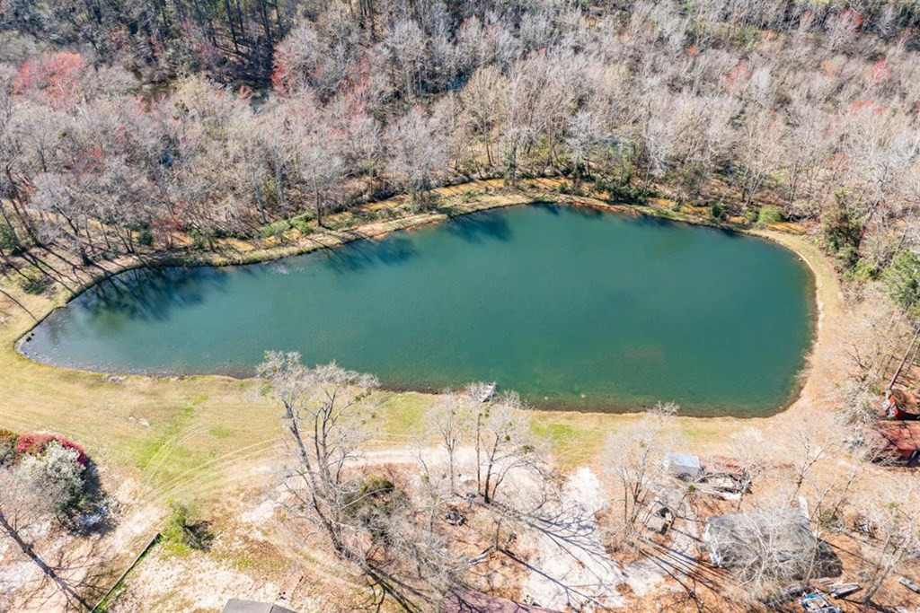 263 Greenville Road Warrenville, SC 29851 - Photo 40 of 42