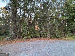 138 Picket Run Brunswick, GA 31520 - Photo 1 of 1 a view of a forest with trees in the background