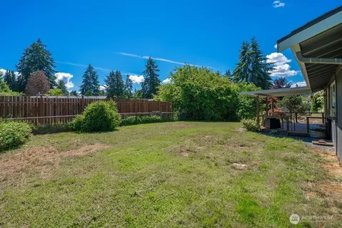a view of a backyard
