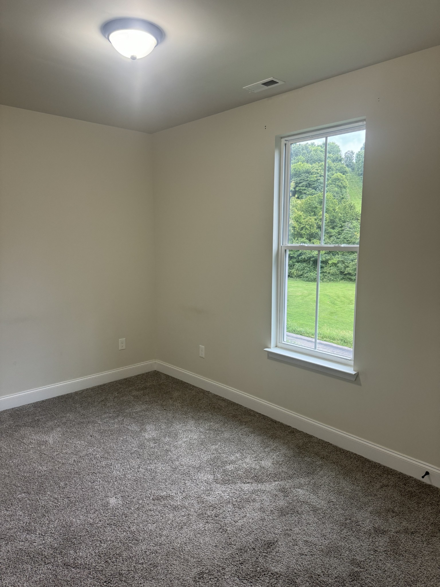 2055 Collier Road Cornersville, TN 37047 - Photo 8 of 44