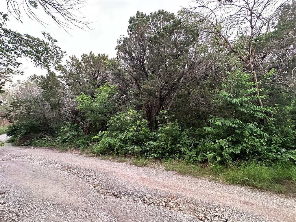 Tbd Barnacle Street Whitney, TX 76692 - Photo 11 of 11 a view of a forest with trees