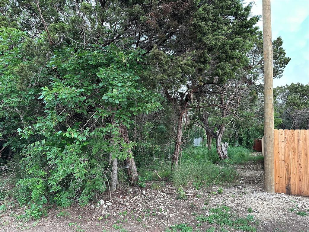 Tbd Barnacle Street Whitney, TX 76692 - Photo 2 of 11 a view of a forest with trees in the background