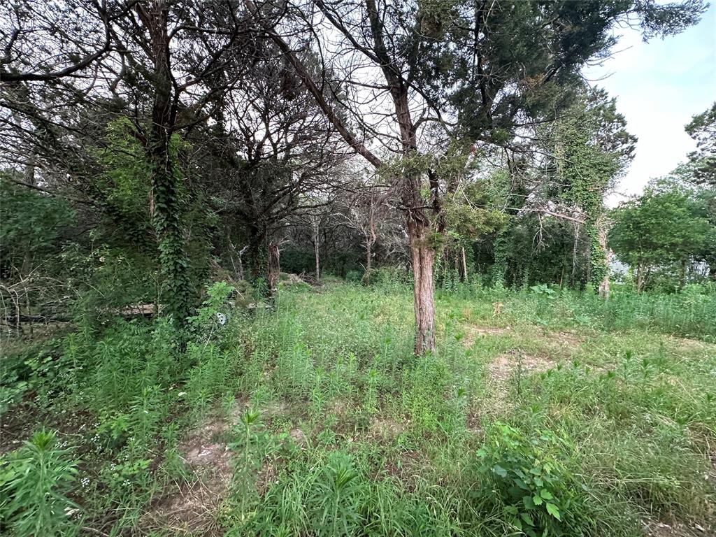 Tbd Barnacle Street Whitney, TX 76692 - Photo 3 of 11 a view of outdoor space with green field and trees
