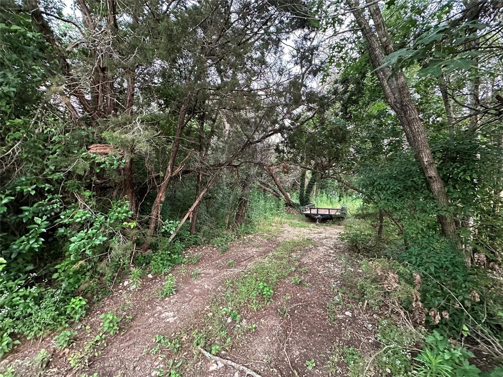 Tbd Barnacle Street Whitney, TX 76692 - Photo 5 of 11 a view of a forest with trees in the background