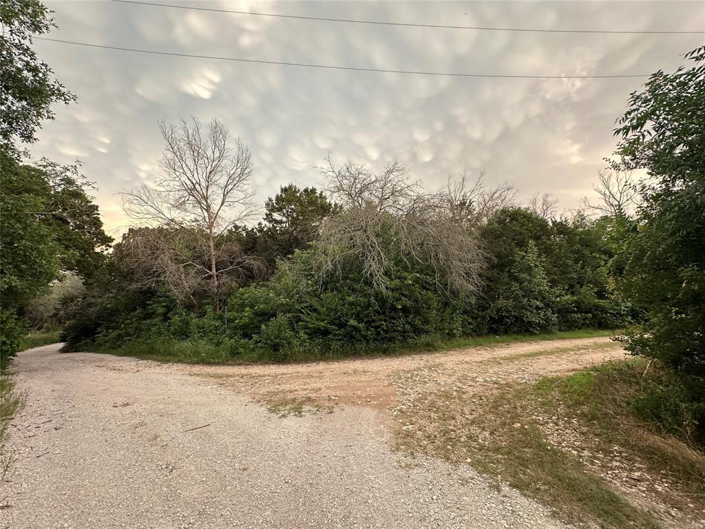 Tbd Barnacle Street Whitney, TX 76692 - Photo 6 of 11 a view of a yard with a tree