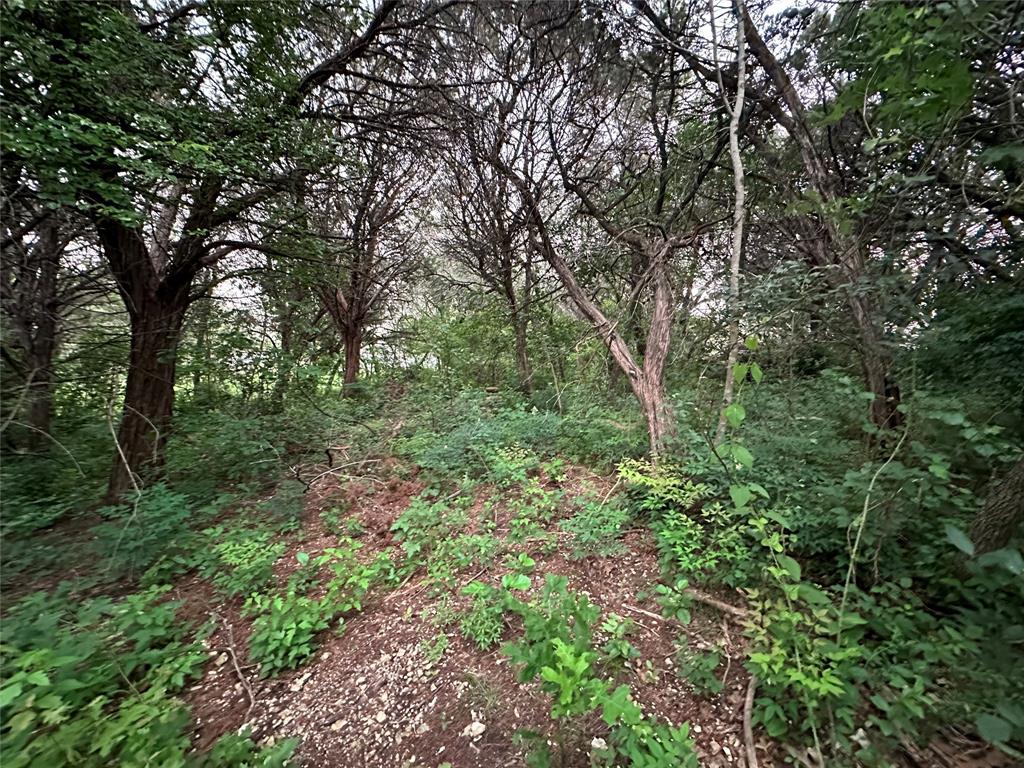 Tbd Barnacle Street Whitney, TX 76692 - Photo 7 of 11 a view of a lush green forest