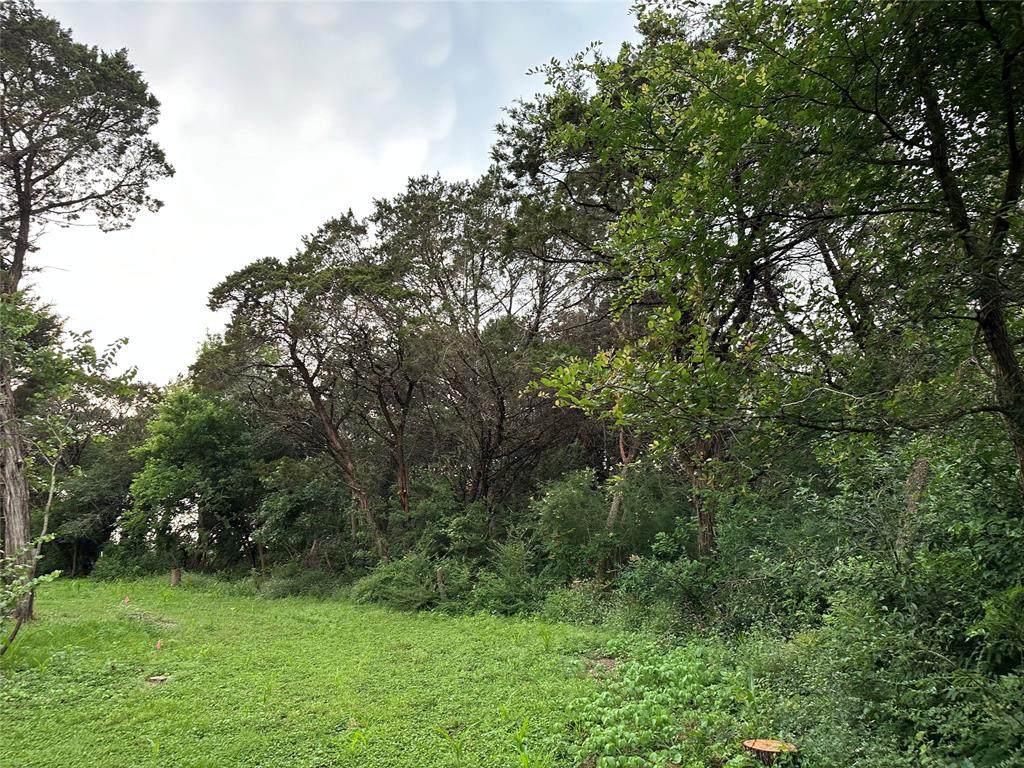 Tbd Barnacle Street Whitney, TX 76692 - Photo 8 of 11 a view of a green yard
