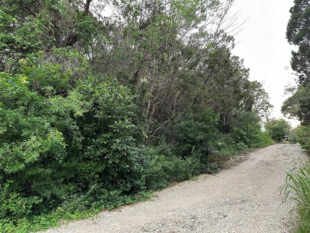 Tbd Barnacle Street Whitney, TX 76692 - Photo 9 of 11 a view of a road with plants and trees