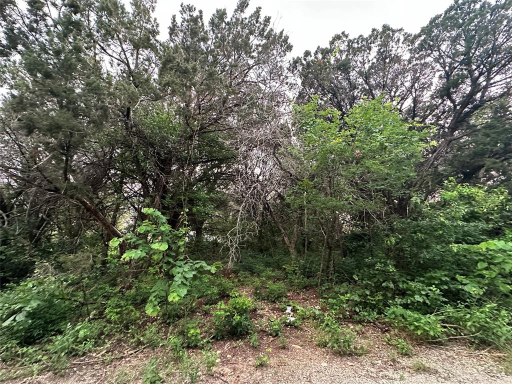 Tbd Barnacle Street Whitney, TX 76692 - Photo 10 of 11 a view of a forest with lots of trees
