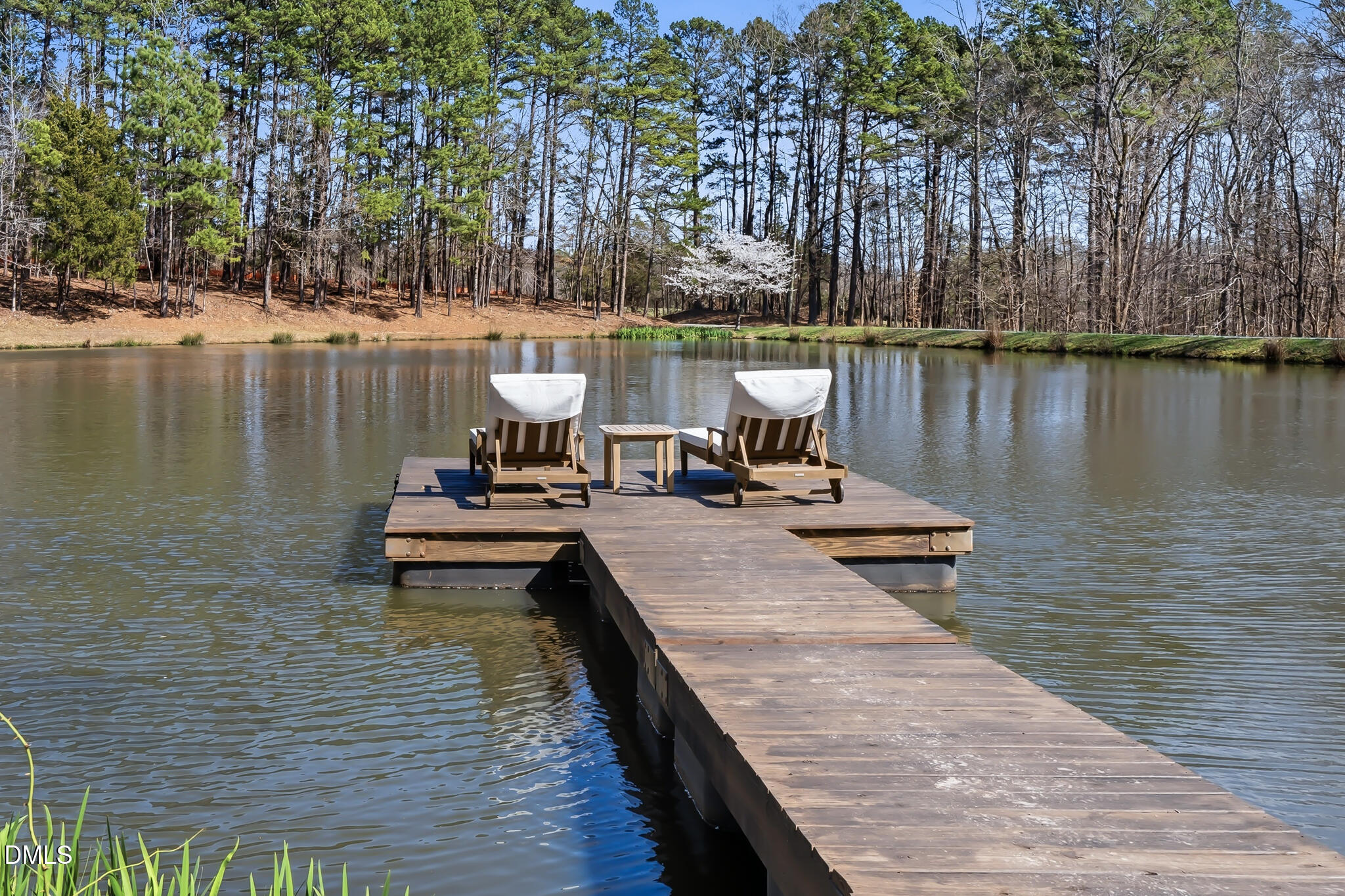 3008 Snow Hill Road Durham, NC 27712 - Photo 2 of 48 DSC05598