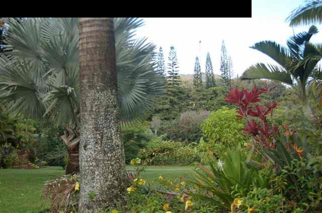 980 East Kuiaha Road Haiku, HI 96708 - Photo 16 of 25 a view of a city