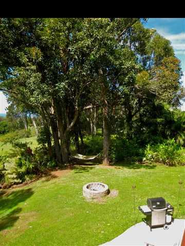 980 East Kuiaha Road Haiku, HI 96708 - Photo 17 of 25 a view of a park with large trees