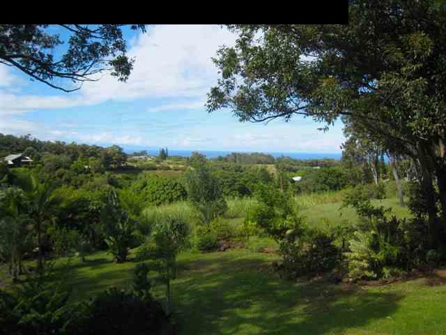 980 East Kuiaha Road Haiku, HI 96708 - Photo 20 of 25 a view of a big yard with large trees