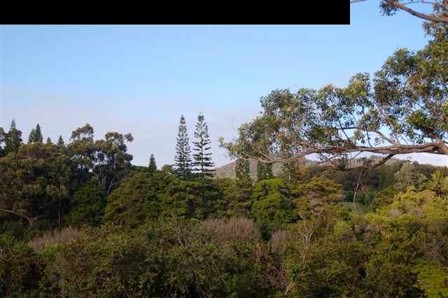 980 East Kuiaha Road Haiku, HI 96708 - Photo 22 of 25 a view of a city