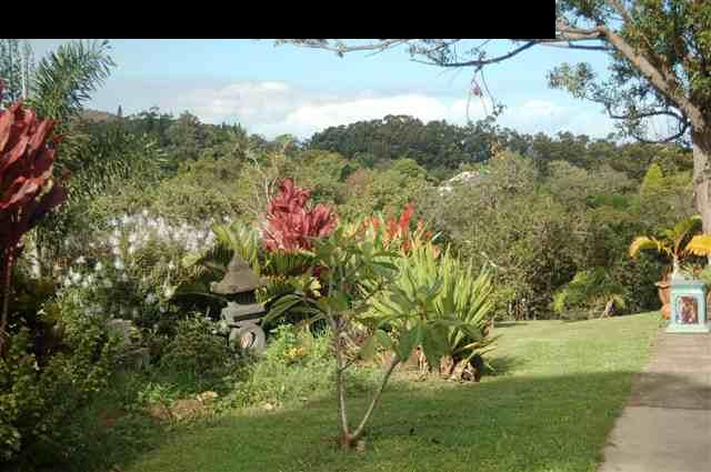980 East Kuiaha Road Haiku, HI 96708 - Photo 23 of 25 a view of a yard with an tree