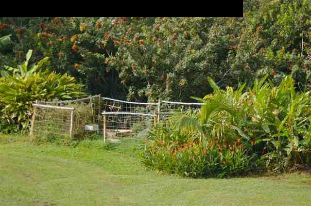 980 East Kuiaha Road Haiku, HI 96708 - Photo 24 of 25 a garden view