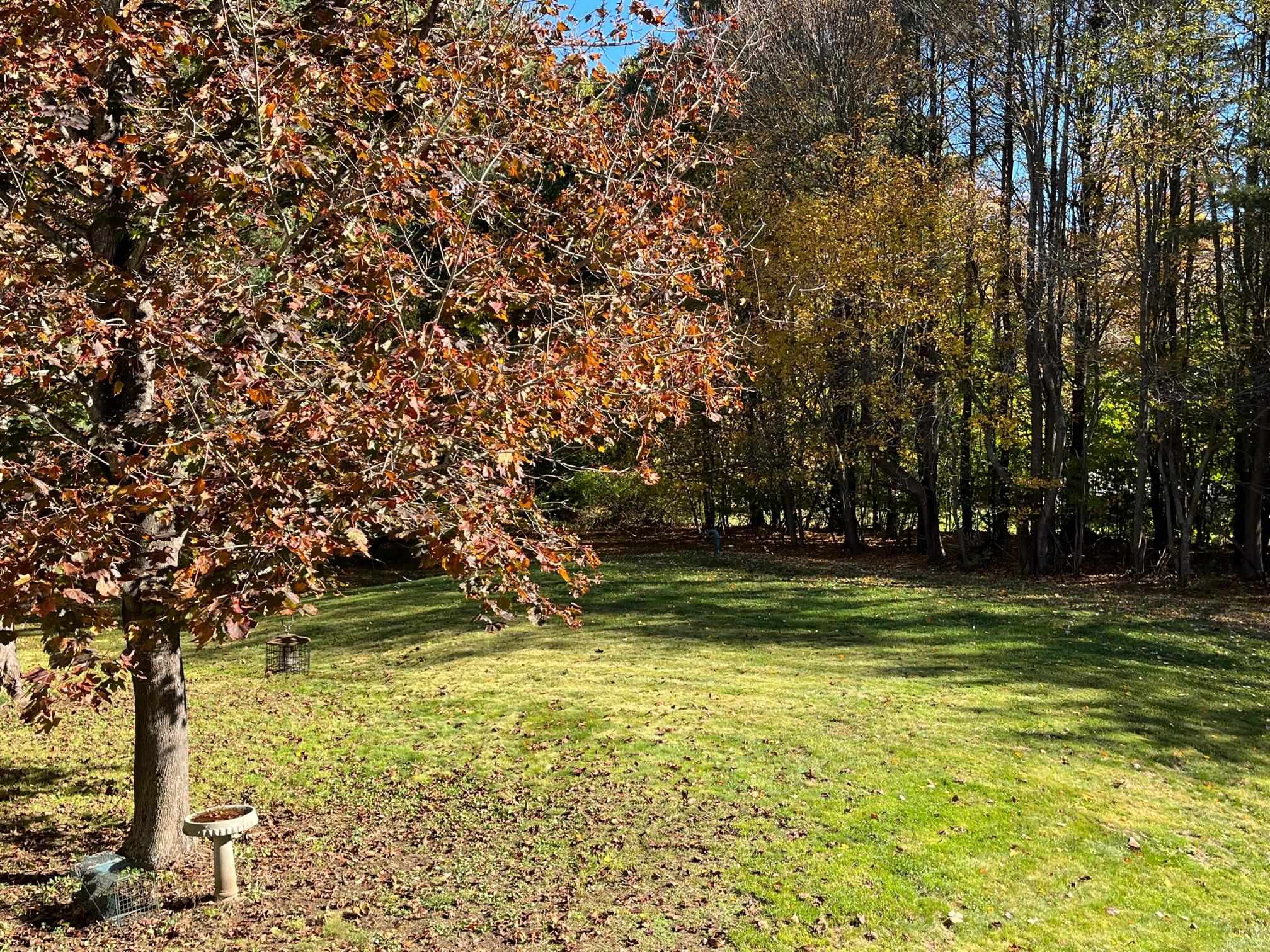 42 Mill Road North Hampton, NH 03862 - Photo 7 of 40