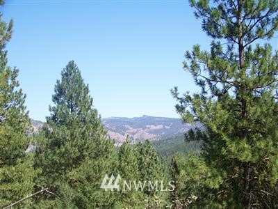 2 A Hidden Valley Road Cle Elum, WA 98922 - Photo 1 of 8 Gallery Image 1