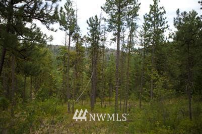2 A Hidden Valley Road Cle Elum, WA 98922 - Photo 2 of 8 Gallery Image 2