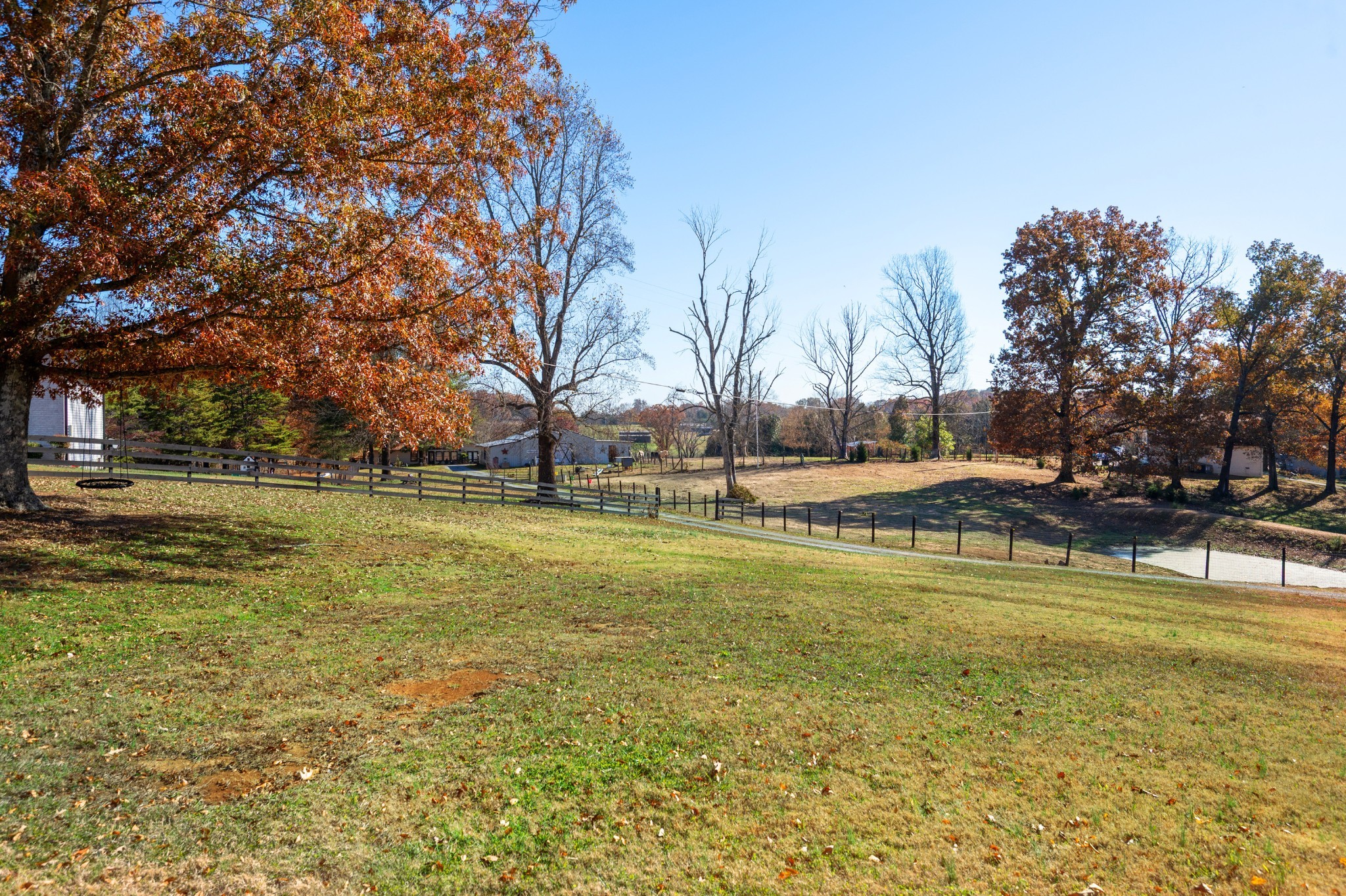 1835 Belotes Ferry Road Lebanon, TN 37087 - Photo 31 of 40 a view of yard with swimming pool and tree