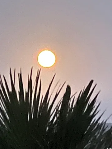 $2,700,000 | 81 Ocean Green Drive, Georgetown, SC 29440