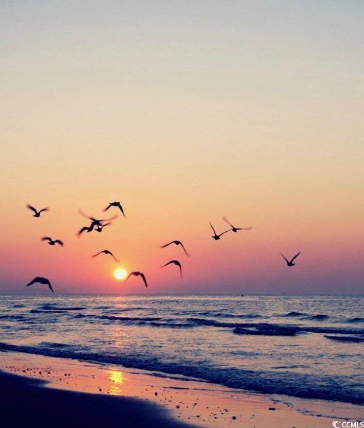 81 Ocean Green Drive Georgetown, SC 29440 - Photo 23 of 38