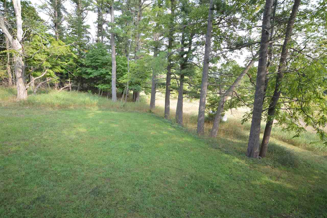 6683 South Schomberg Road Cedar, MI 49621 - Photo 28 of 33 1851678-27.JPG