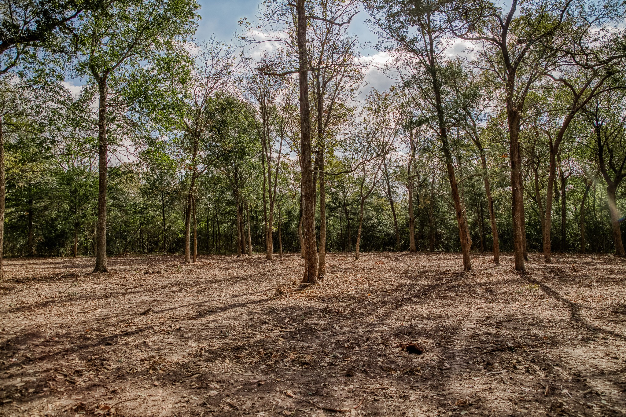 4 Sun Oil Road Brenham, TX 77833 - Photo 12 of 35 a backyard of a house with lots of trees