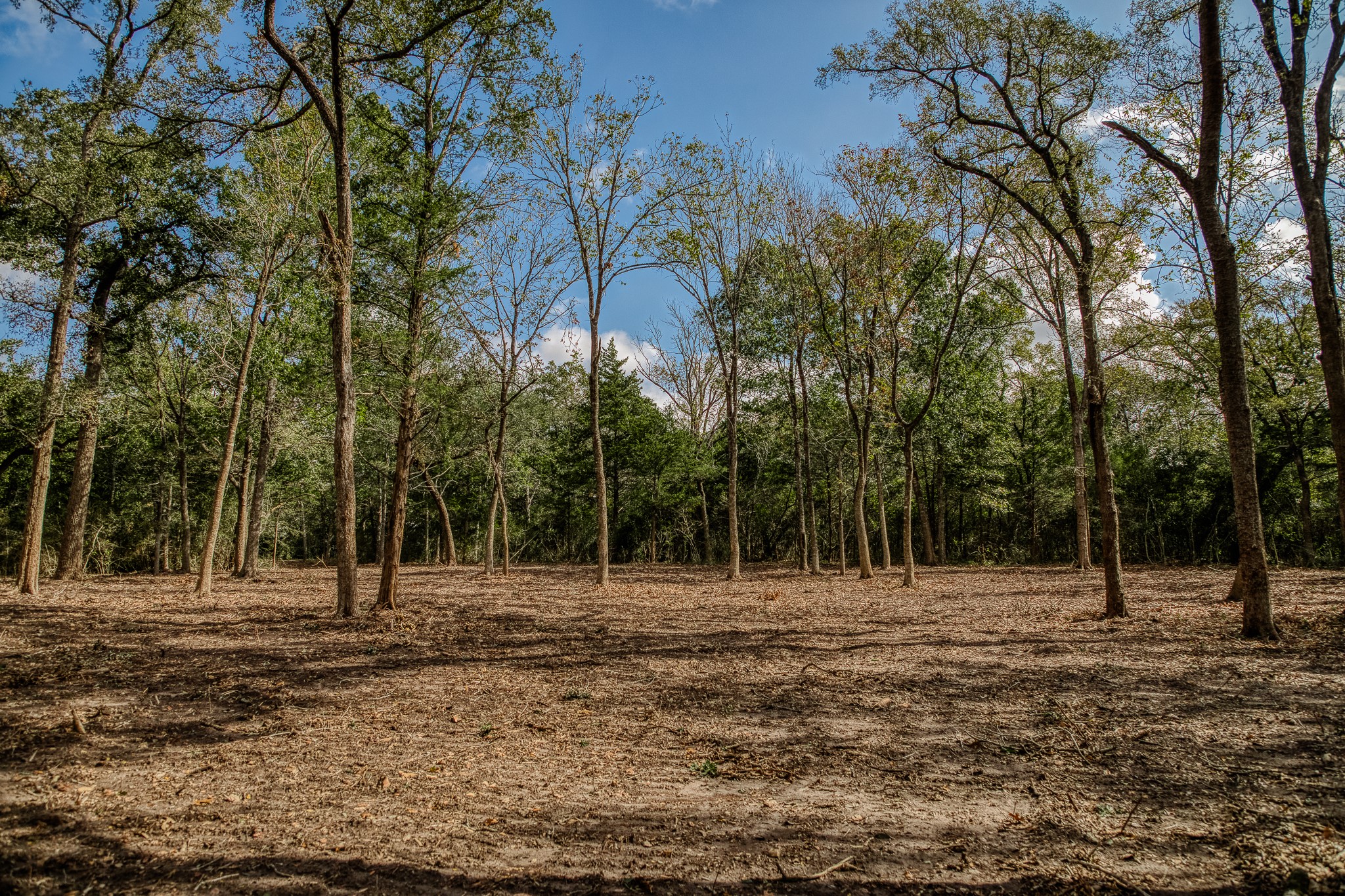4 Sun Oil Road Brenham, TX 77833 - Photo 13 of 35 a view of a sink with a trees