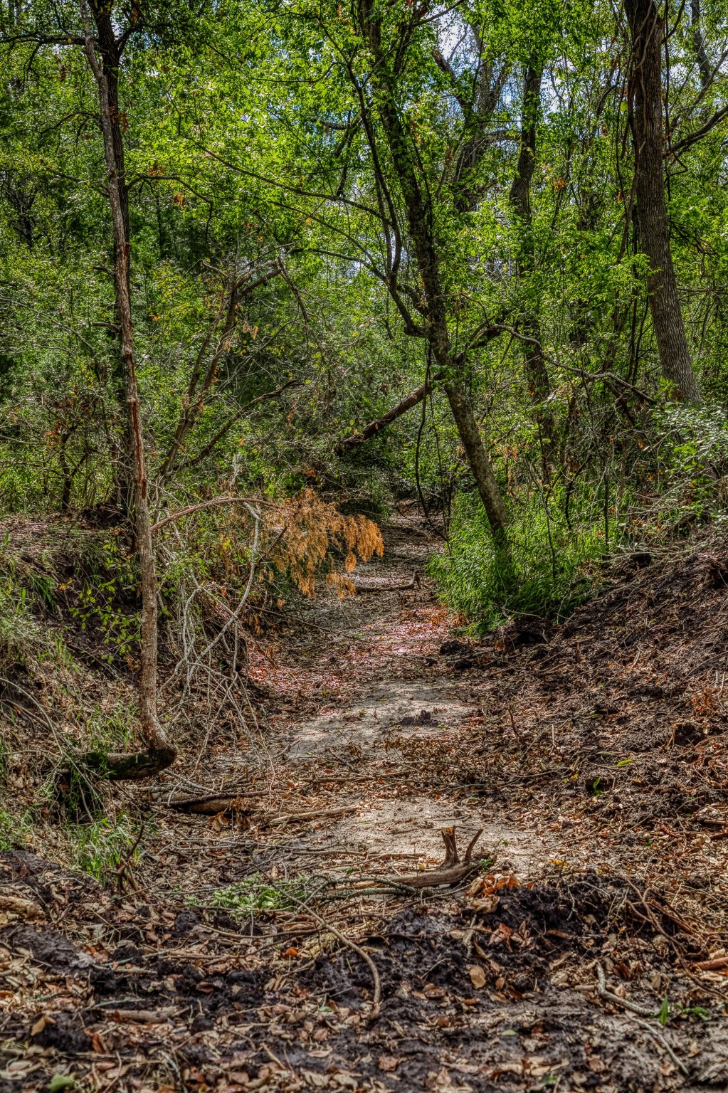 4 Sun Oil Road Brenham, TX 77833 - Photo 18 of 35 a view of outdoor space and a yard